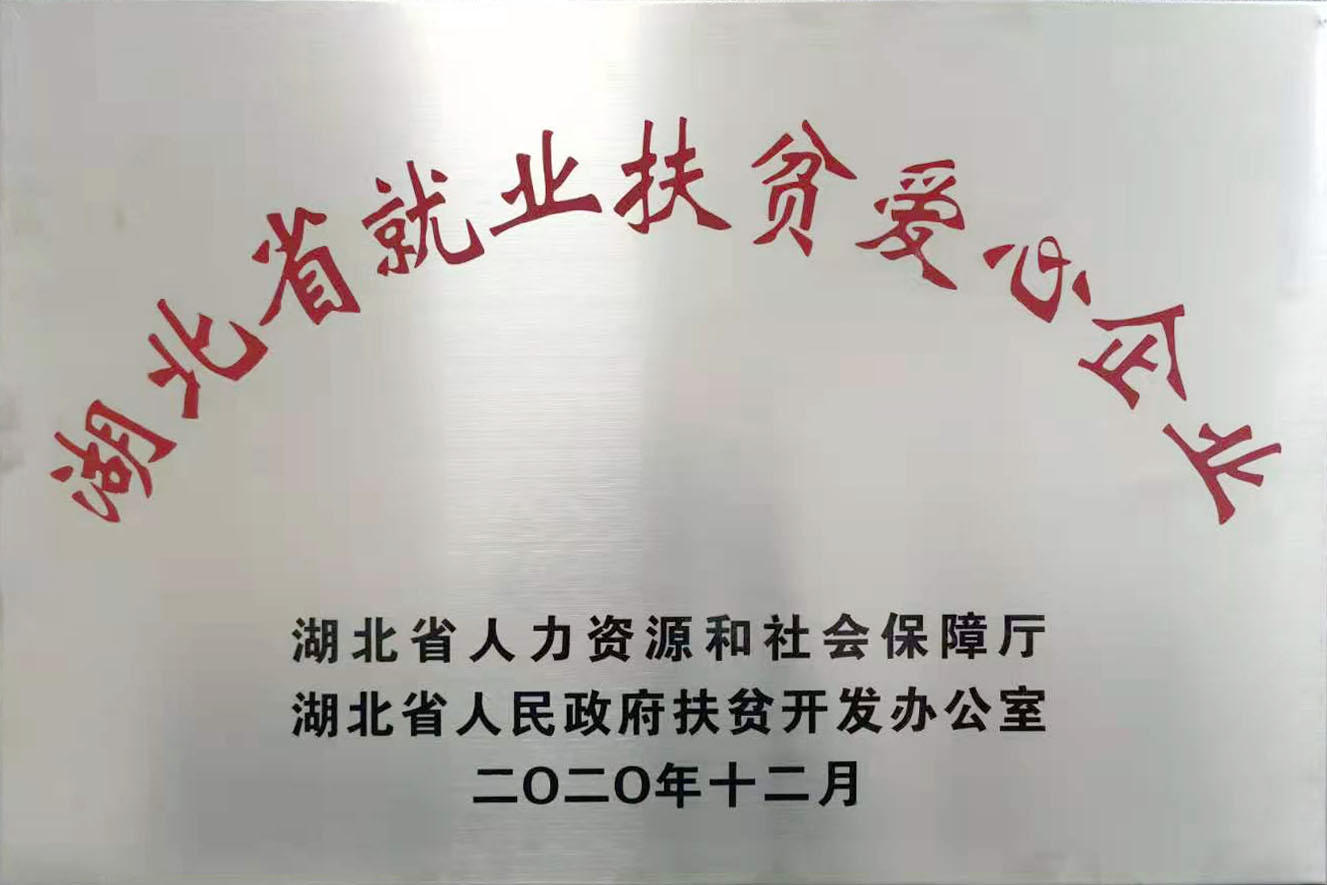 湖北省就業扶貧愛心企業2020